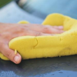 Sanding Sponges & Tools