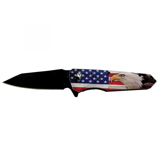 Fort McHenry Knife