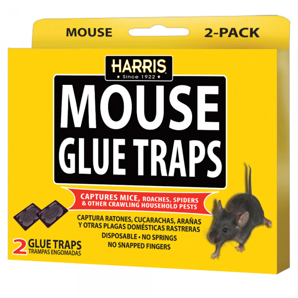 Mouse Glue Trap, 2 Pack  #HMG-2