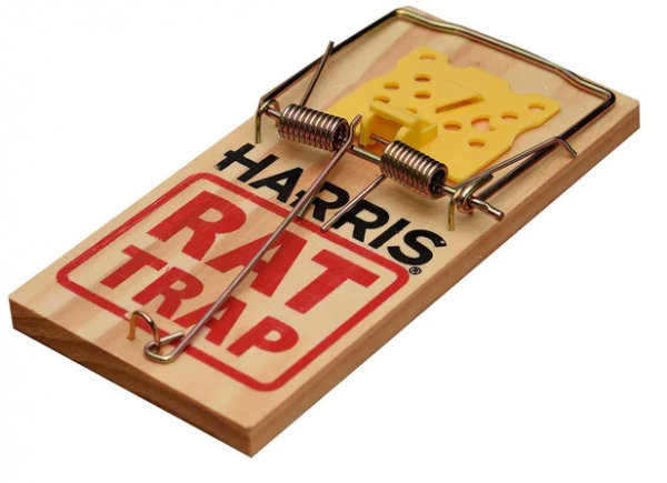 Wooden Rat Trap, 1 pack #wrt-1