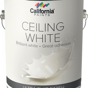 Ceiling Paints