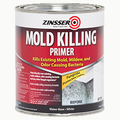 MOLD KILLING PRIMER